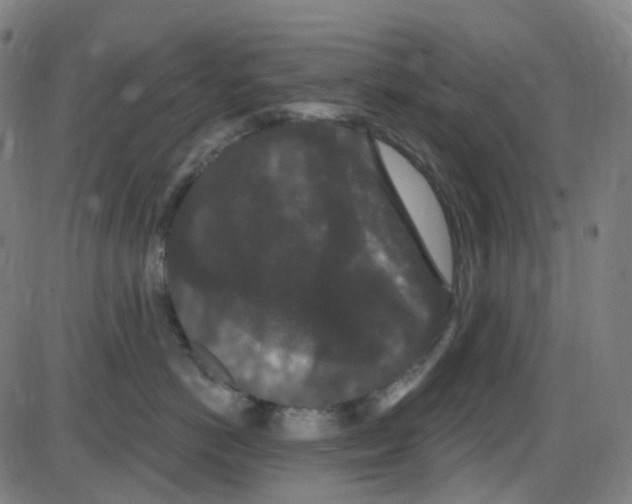 X0000084050766200703161857