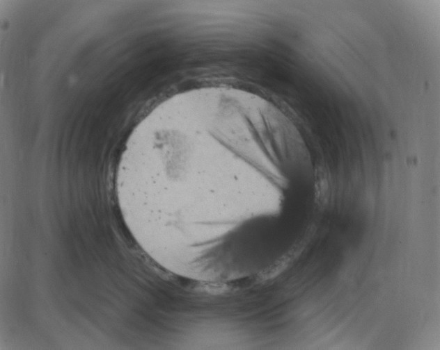 X0000084050767200703161857