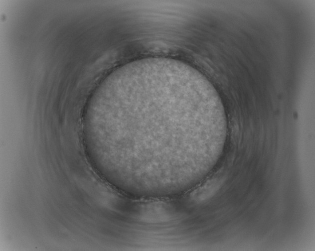 X0000084050769200703161856