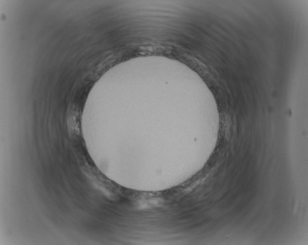 X0000084050770200703161856