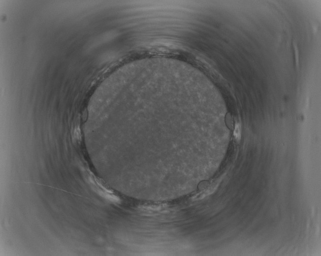 X0000084050771200703161856