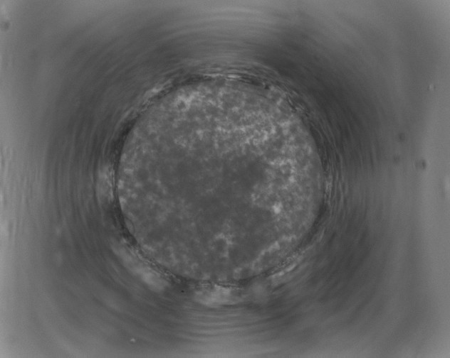 X0000084050772200703161856