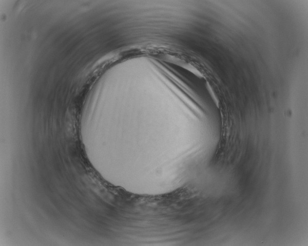 X0000084050773200703161856