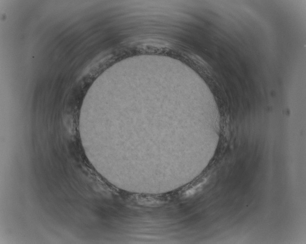 X0000084050774200703161856