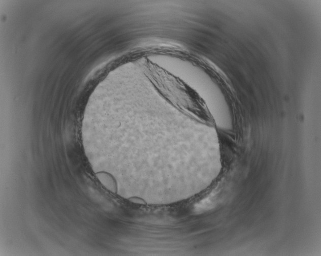 X0000084050775200703161856