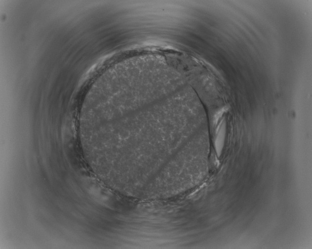 X0000084050776200703161856