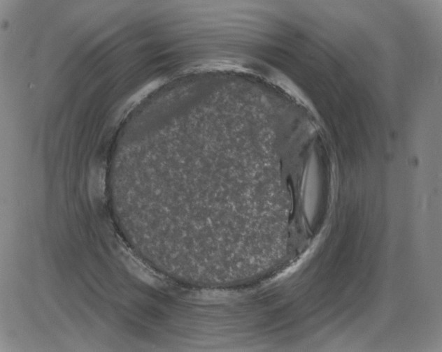 X0000084050777200703161856