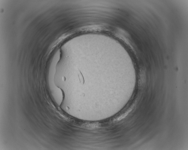 X0000084050778200703161856