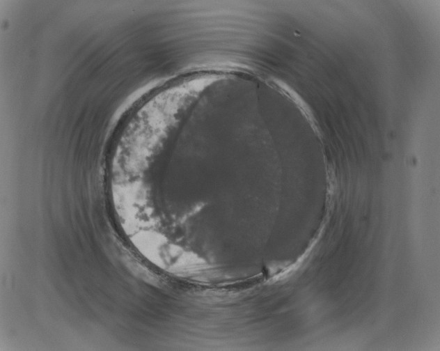 X0000084050779200703161856