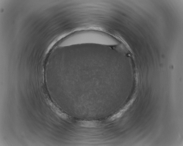 X0000084050781200703161856