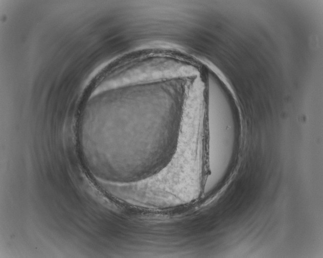 X0000084050783200703161856