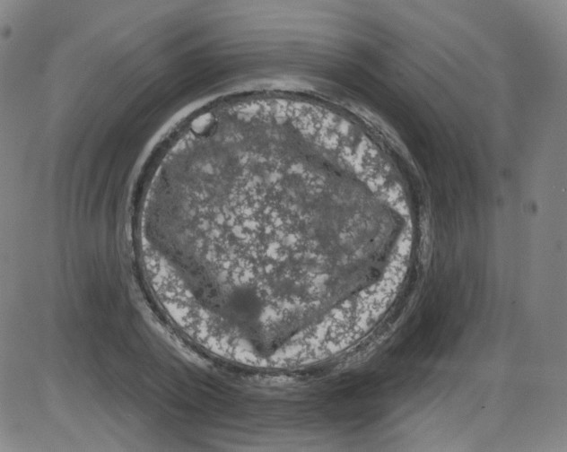 X0000084050784200703161856