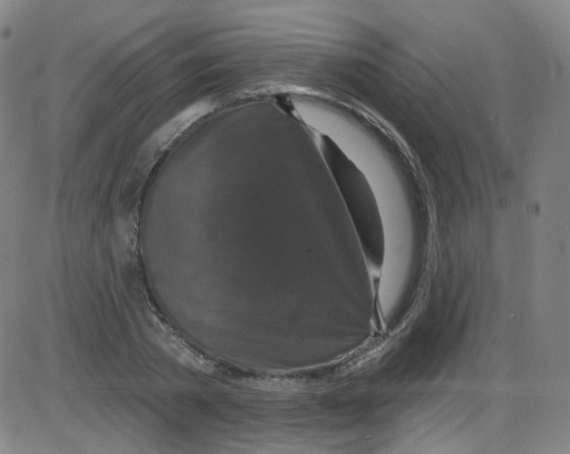 X0000084050785200703161856