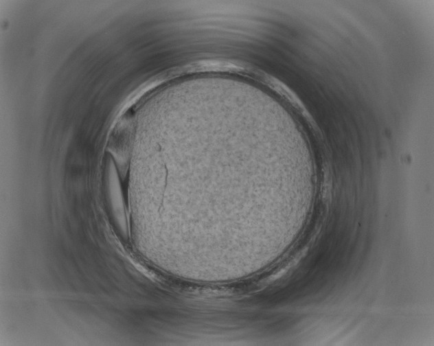 X0000084050786200703161855