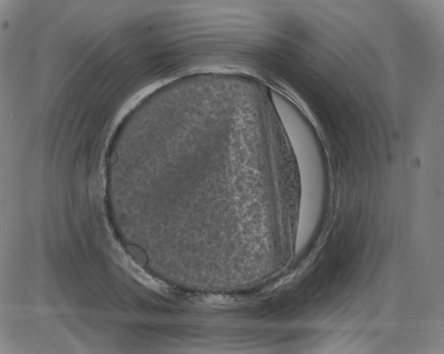 X0000084050787200703161855