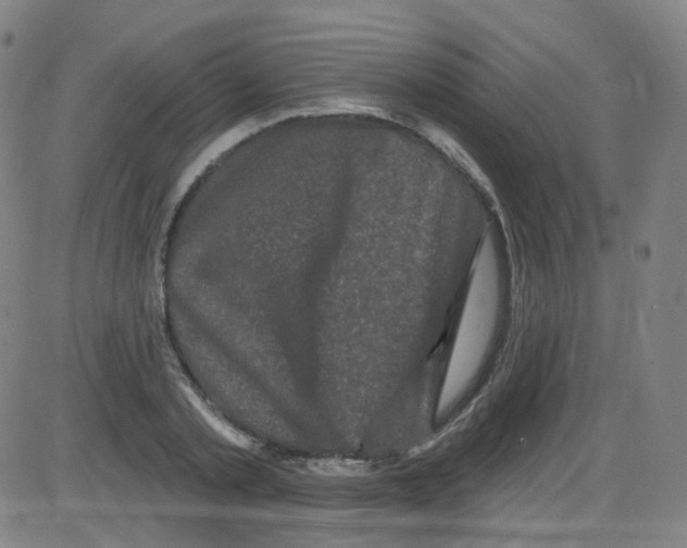 X0000084050789200703161855