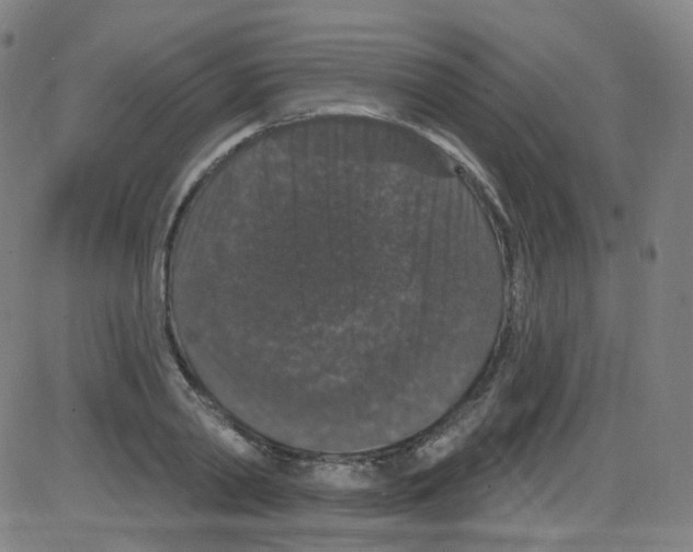 X0000084050790200703161855