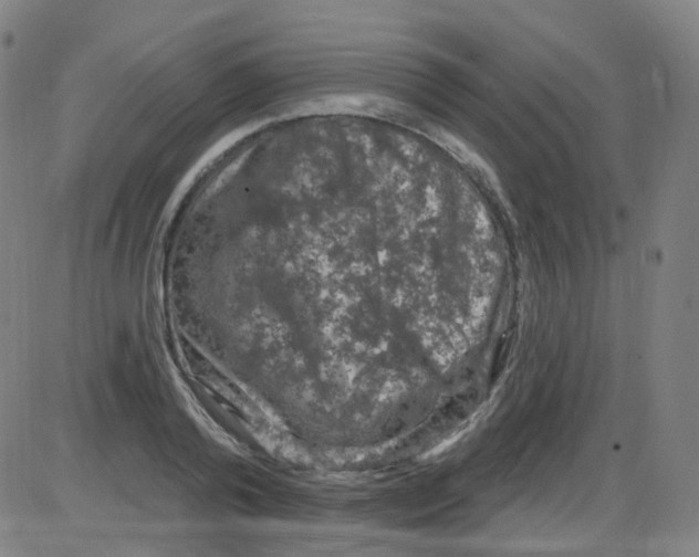 X0000084050792200703161855