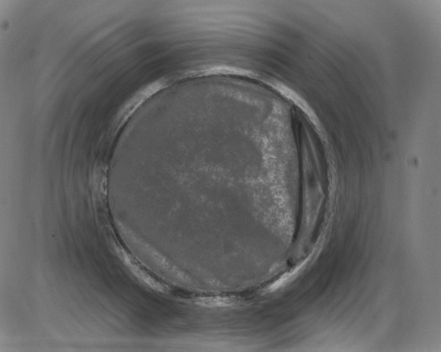 X0000084050793200703161855