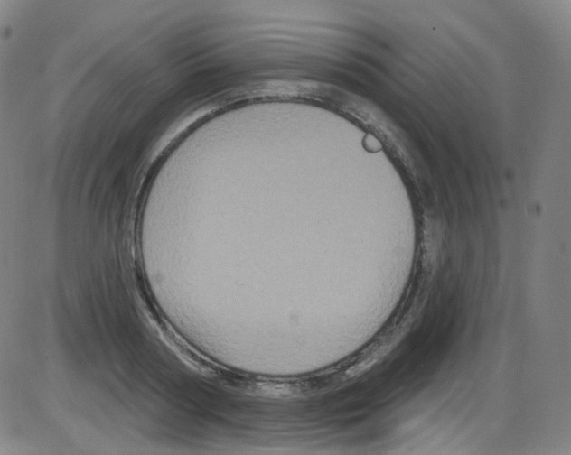 X0000084050794200703161855