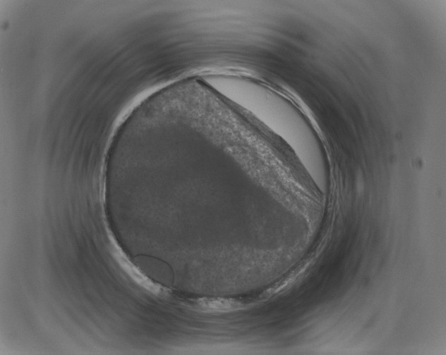 X0000084050795200703161855