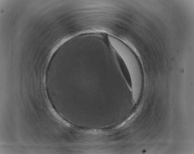 X0000084050797200703161855