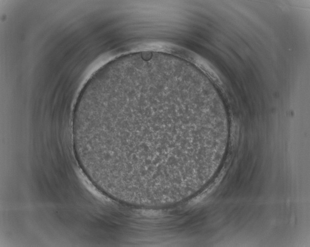 X0000084050800200703161855