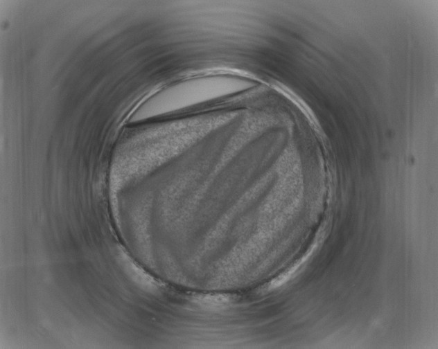 X0000084050801200703161855