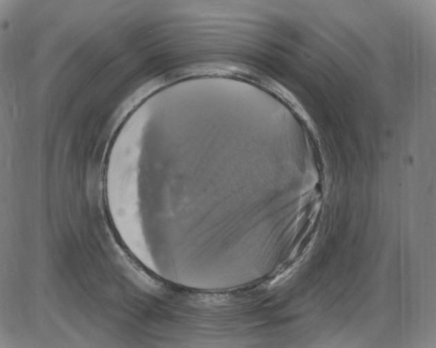 X0000084050802200703161855