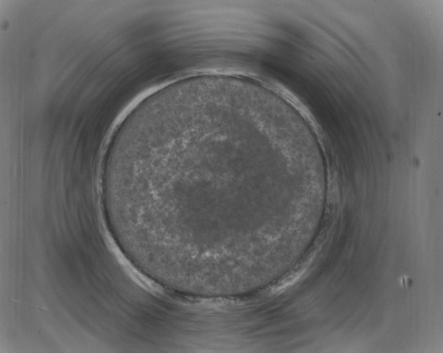 X0000084050803200703161855