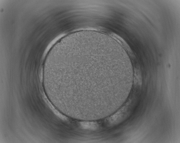 X0000084050804200703161855