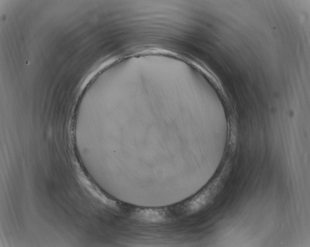 X0000084050806200703161855