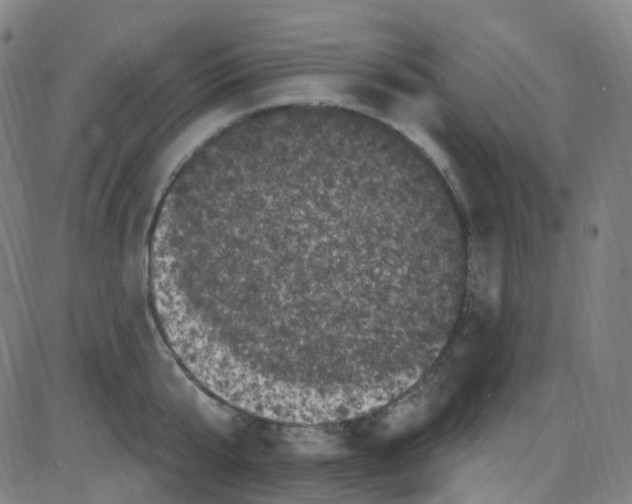 X0000084050807200703161855