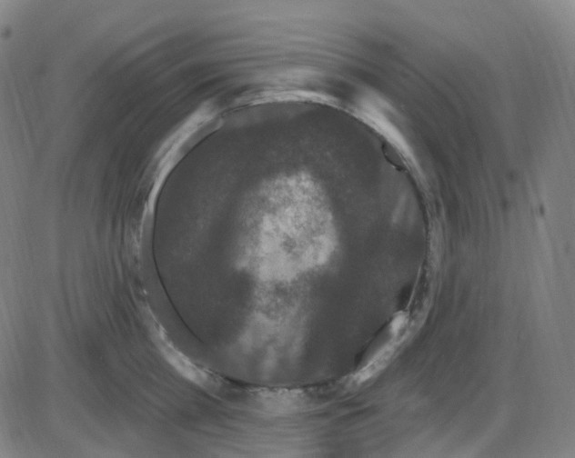 X0000084050809200703161855