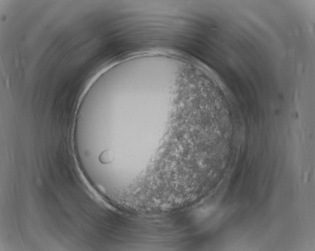 X0000084050810200703161855