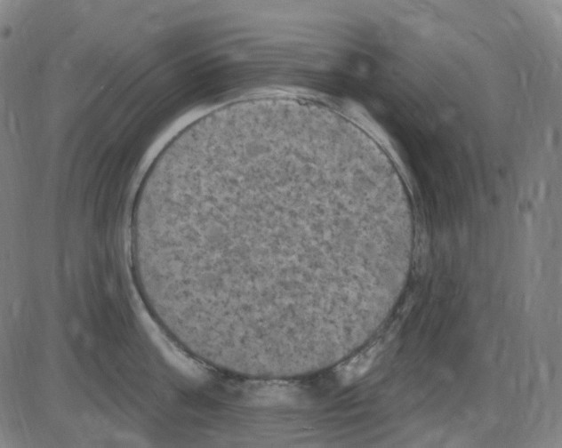 X0000084050811200703161855