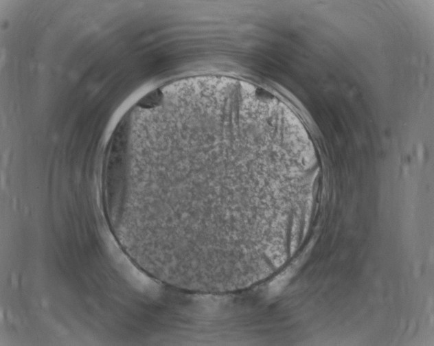 X0000084050812200703161855