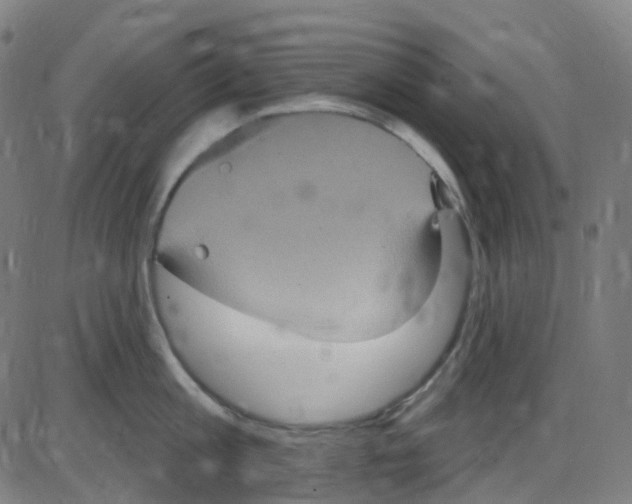 X0000084050813200703161855