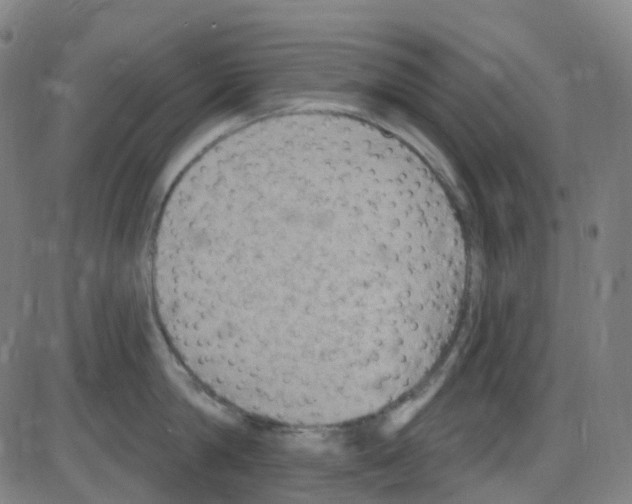 X0000084050814200703161855