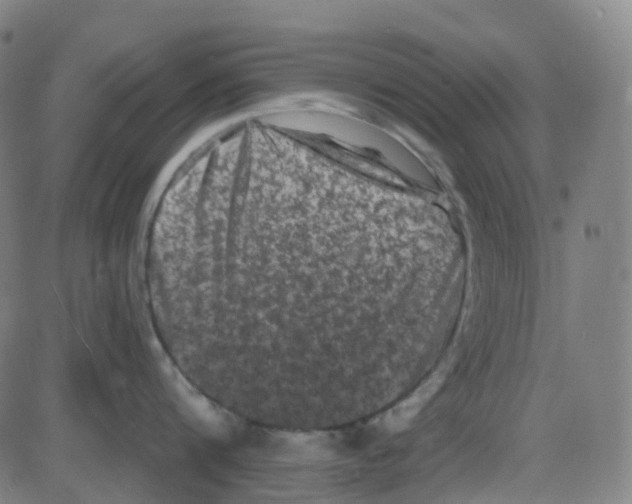 X0000084050816200703161855