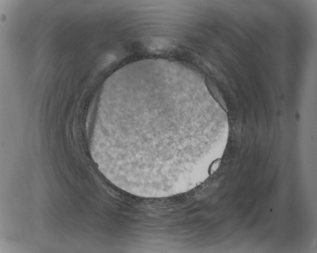 X0000084050817200703161854