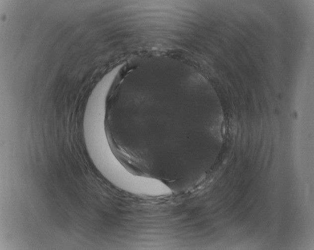 X0000084050818200703161854