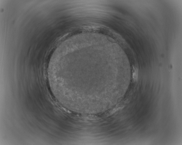 X0000084050819200703161854