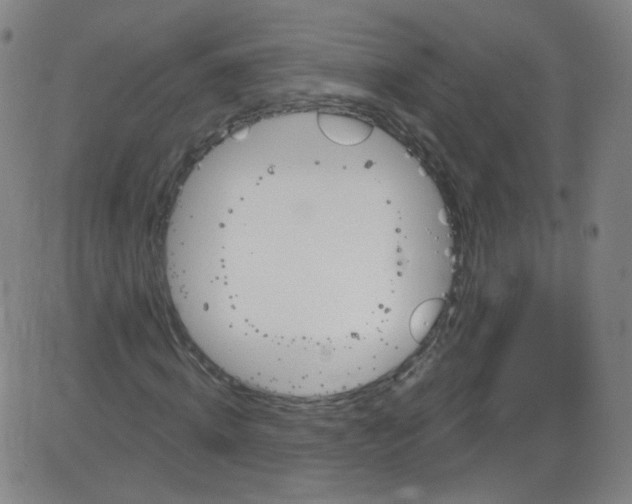 X0000084050820200703161854