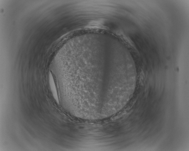 X0000084050821200703161854