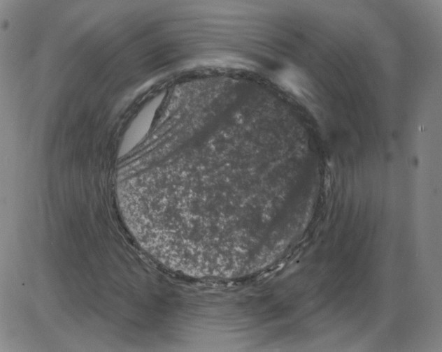 X0000084050822200703161854