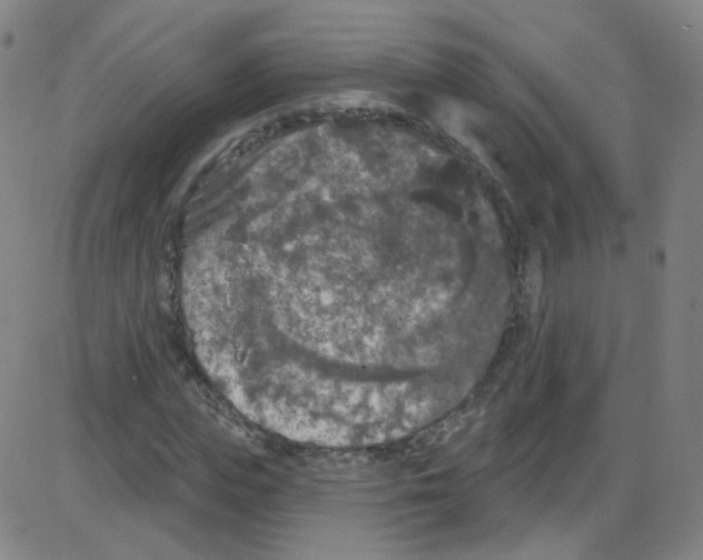 X0000084050823200703161854