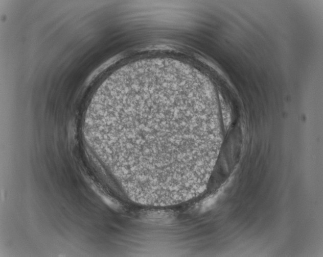 X0000084050826200703161854