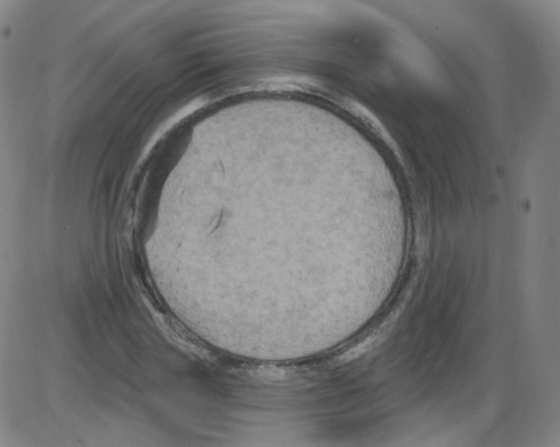 X0000084050827200703161854