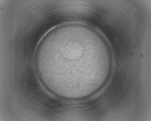 X0000084050828200703161854